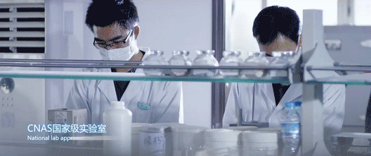 腾博会官网·专业效劳,诚信为本