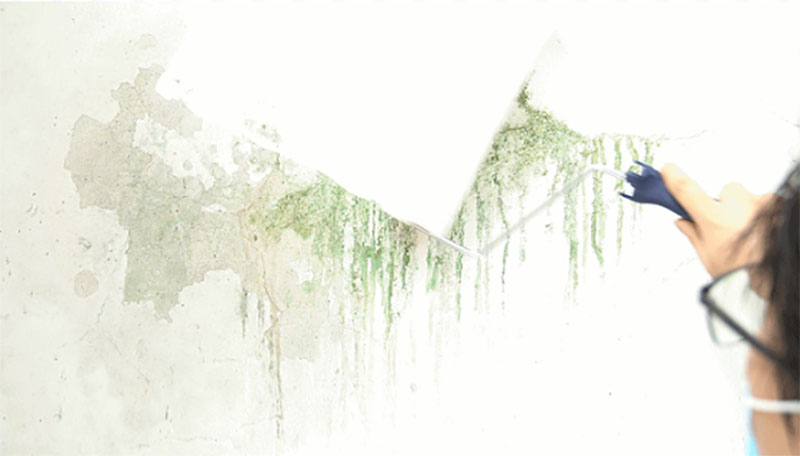 腾博会官网·专业效劳,诚信为本